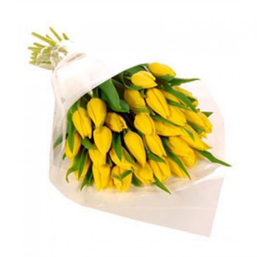 Фото товара 25 желтых тюльпанов