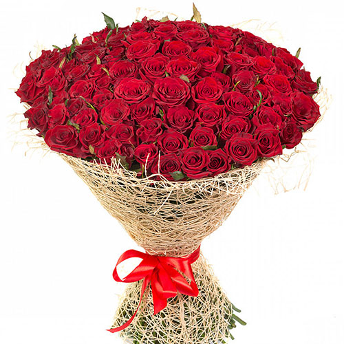 фото товара 101 червона троянда | «Роза Миколаєва»