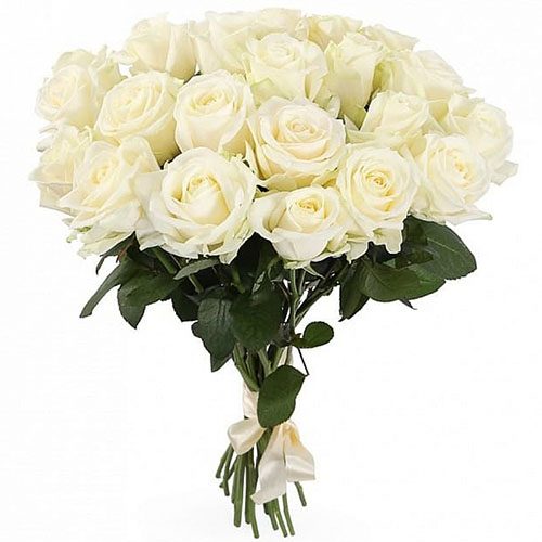 21 белая роза фото букета