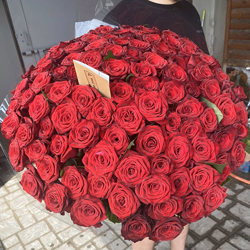 огромный букет красных роз в Николаеве фото