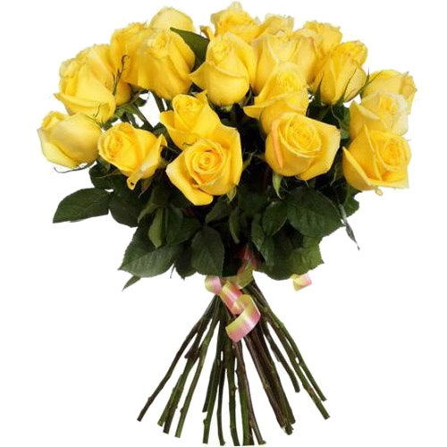 Фото товара 25 желтых роз