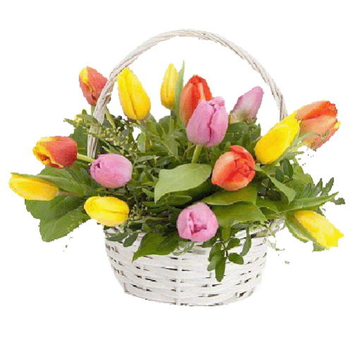 Фото товара 15 тюльпанов в корзине