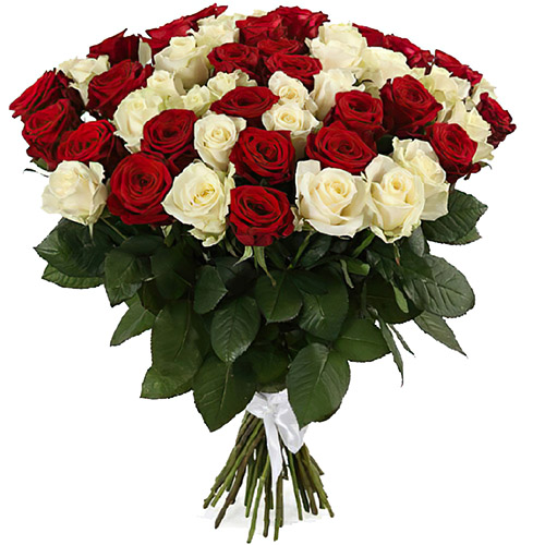 товар 51 роза красная и белая