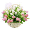 Фото товара 25 бело-розовых тюльпанов