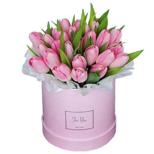 Фото товара 31 нежно-розовый тюльпан в коробке
