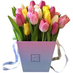 Фото товара 31 тюльпан "Весенний ветер" в квадратной коробке