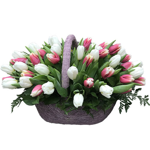 Фото товара 51 бело-розовый тюльпан в корзине