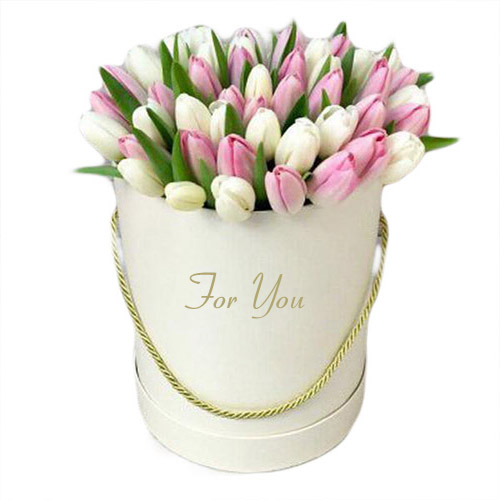 Фото товара 51 бело-розовый тюльпан в коробке