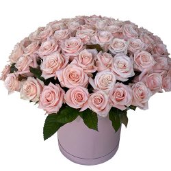 Фото товара 101 розовая роза в коробке