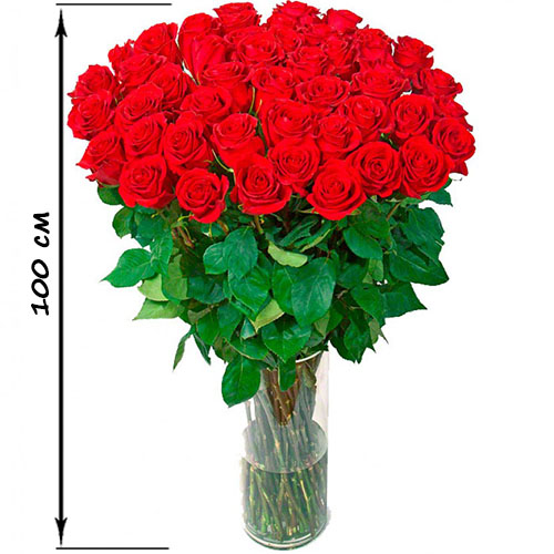 Фото товара 35 высоких роз (100 см)
