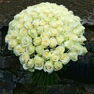 Большой букет белых роз в Николаеве фото
