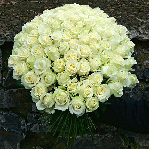 Большой букет белых роз фото
